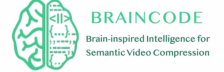 BrainSIM